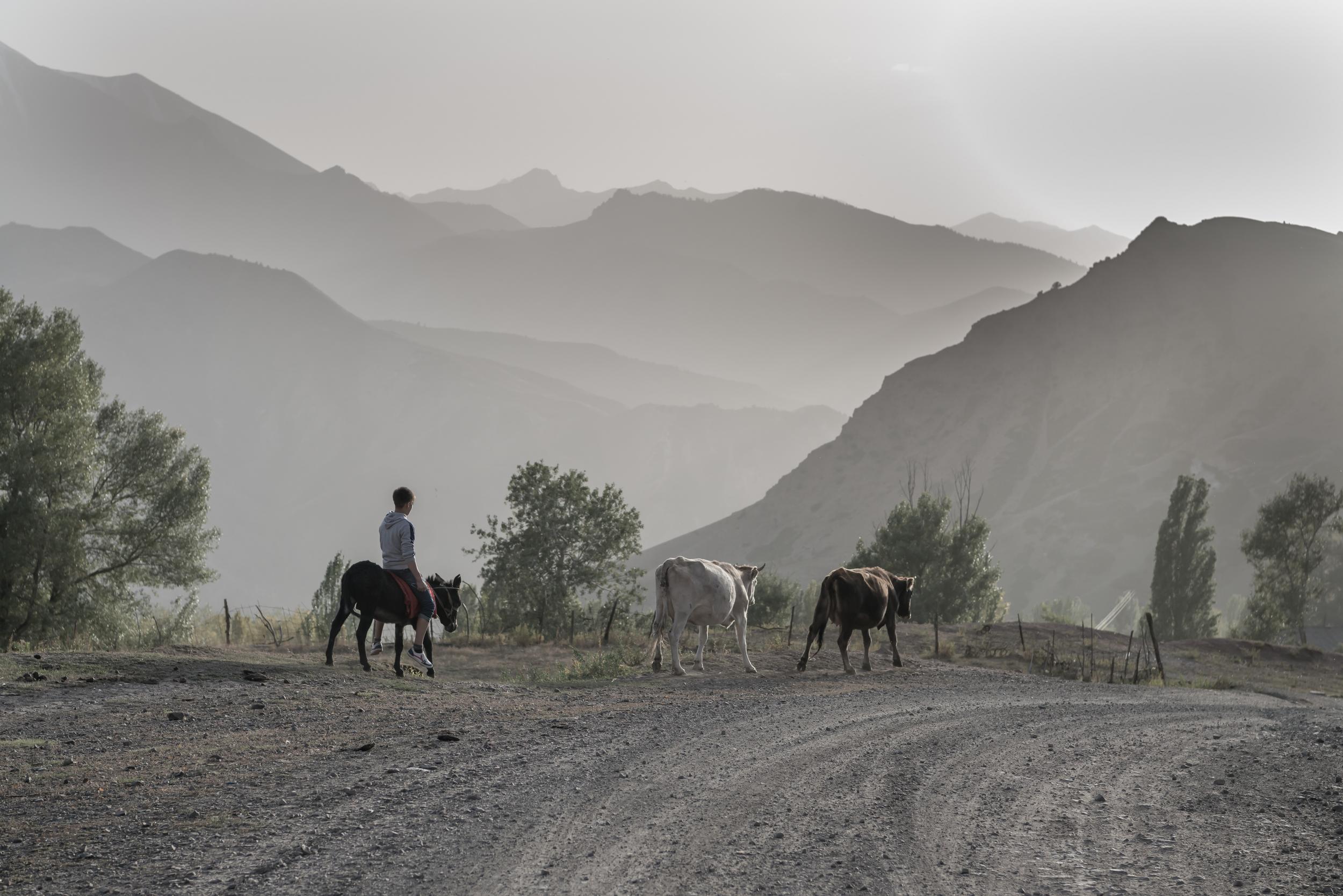 Keeping livestock is a source of employment here