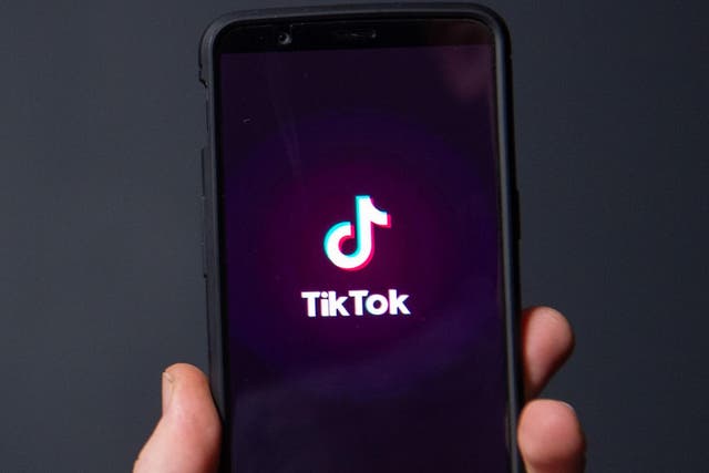 TikTok was banned in India over concerns that it was being used to share pornography