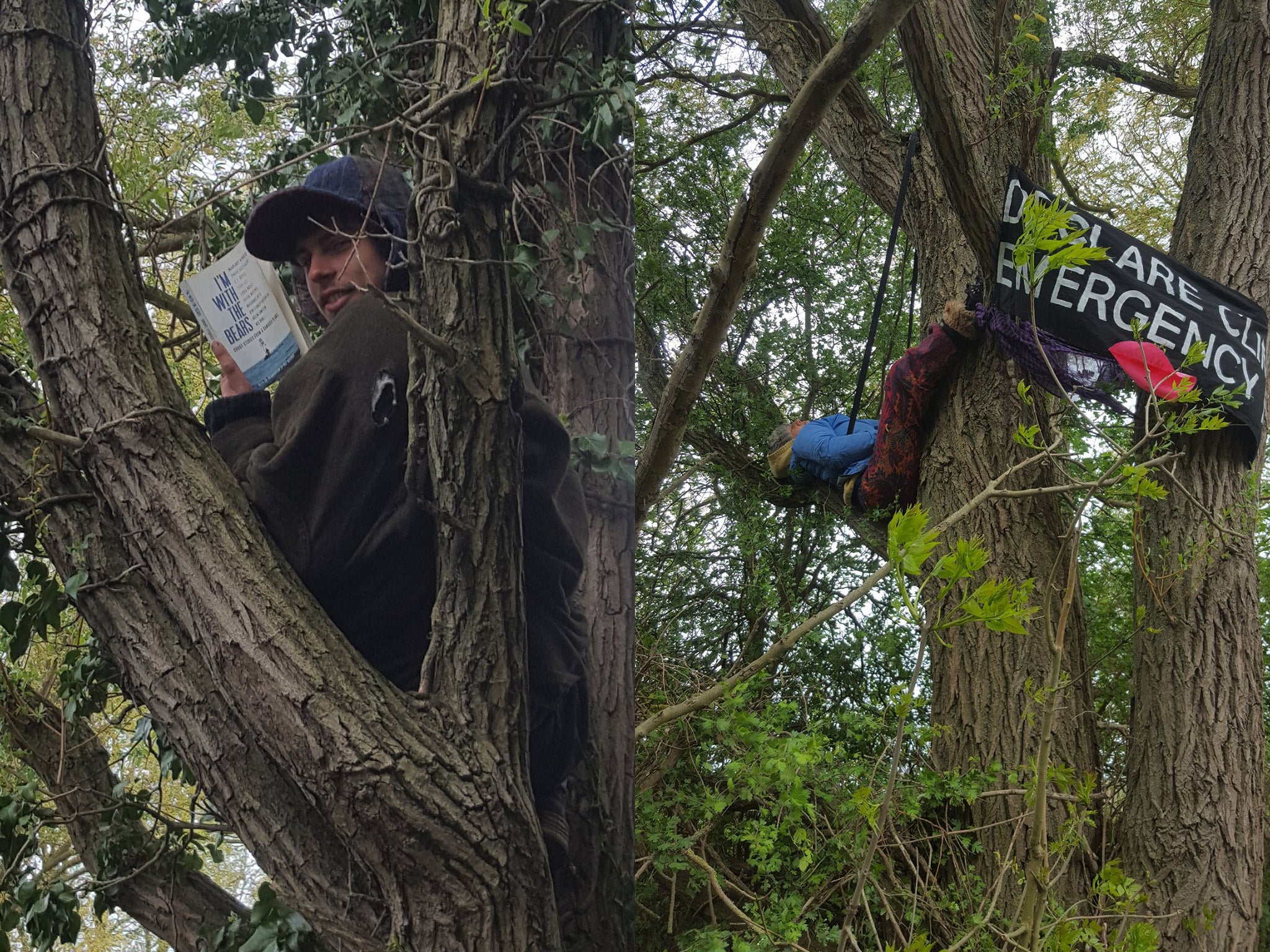 Twelve Extinction Rebellion activists scaled trees in Colne Valley nature reserve to stop them being chopped down