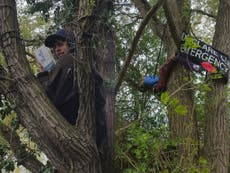Extinction Rebellion activists camp out in trees to protest HS2