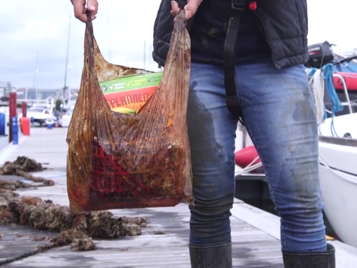 Biodegradable plastic bags can still hold full load of shopping after three years in ocean, study shows