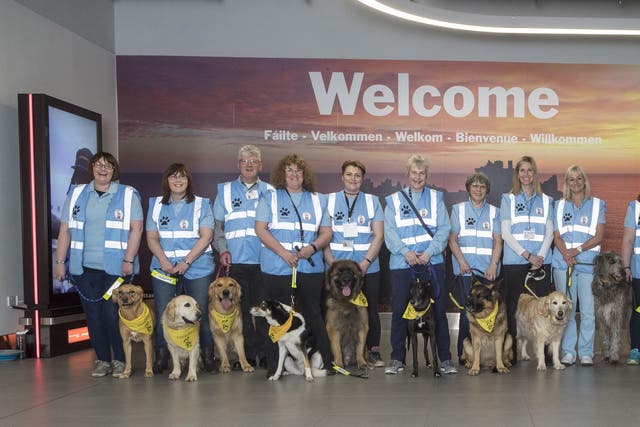 Aberdeen airport is employing 14 therapy dogs to soothe nervous fliers