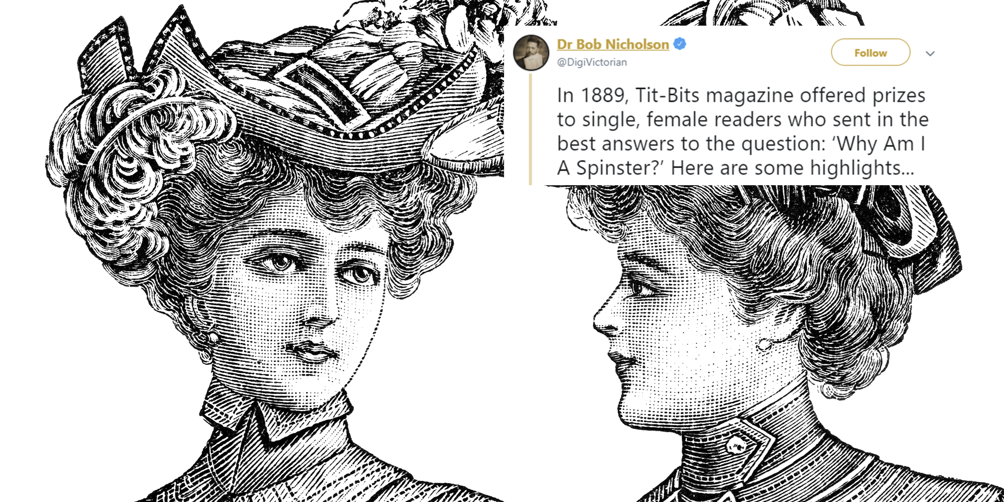 victorian-women-were-once-asked-why-they-were-spinsters-and-their