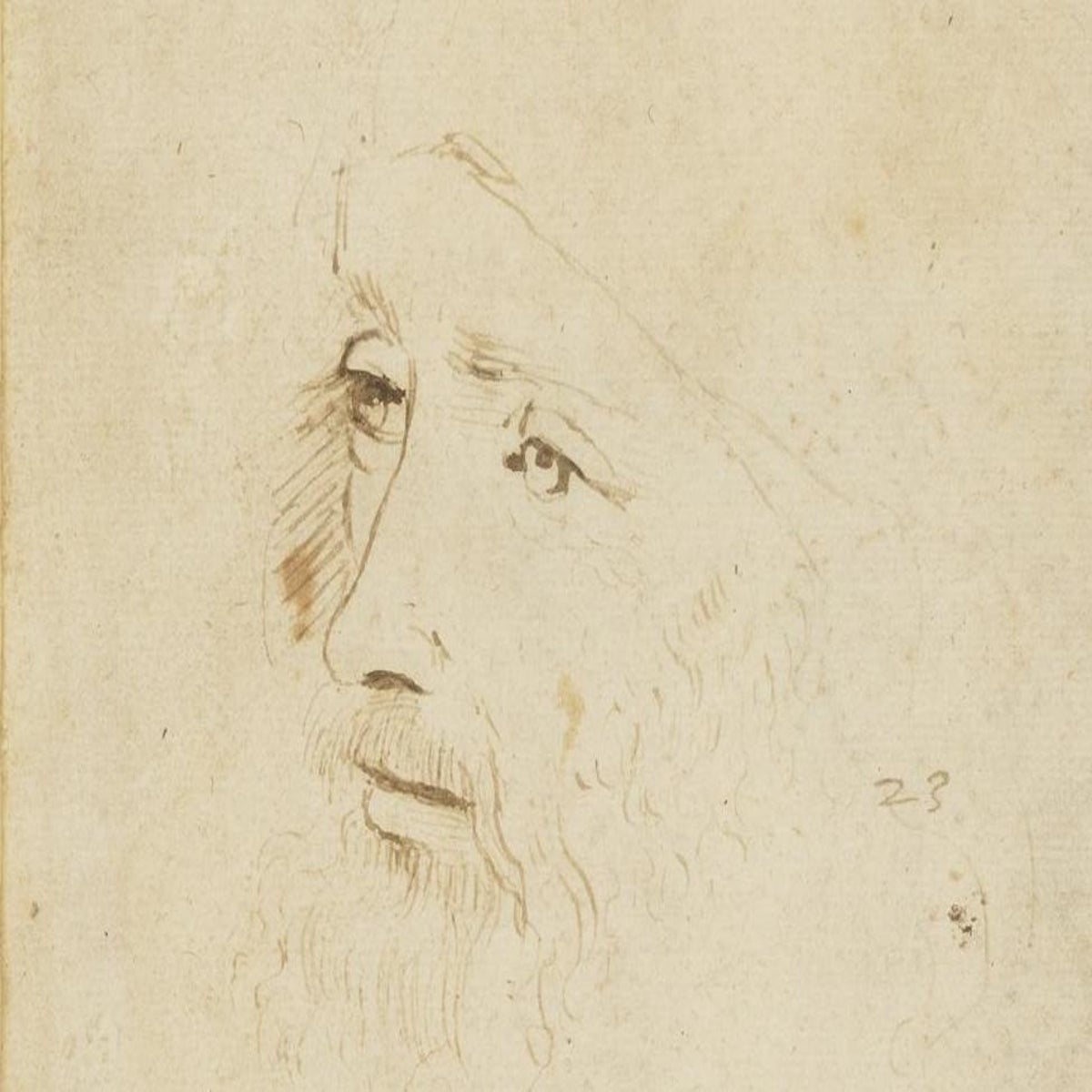 Art Historian Claims a Newly Discovered Drawing Is the Work of Leonardo da  Vinci, Smart News