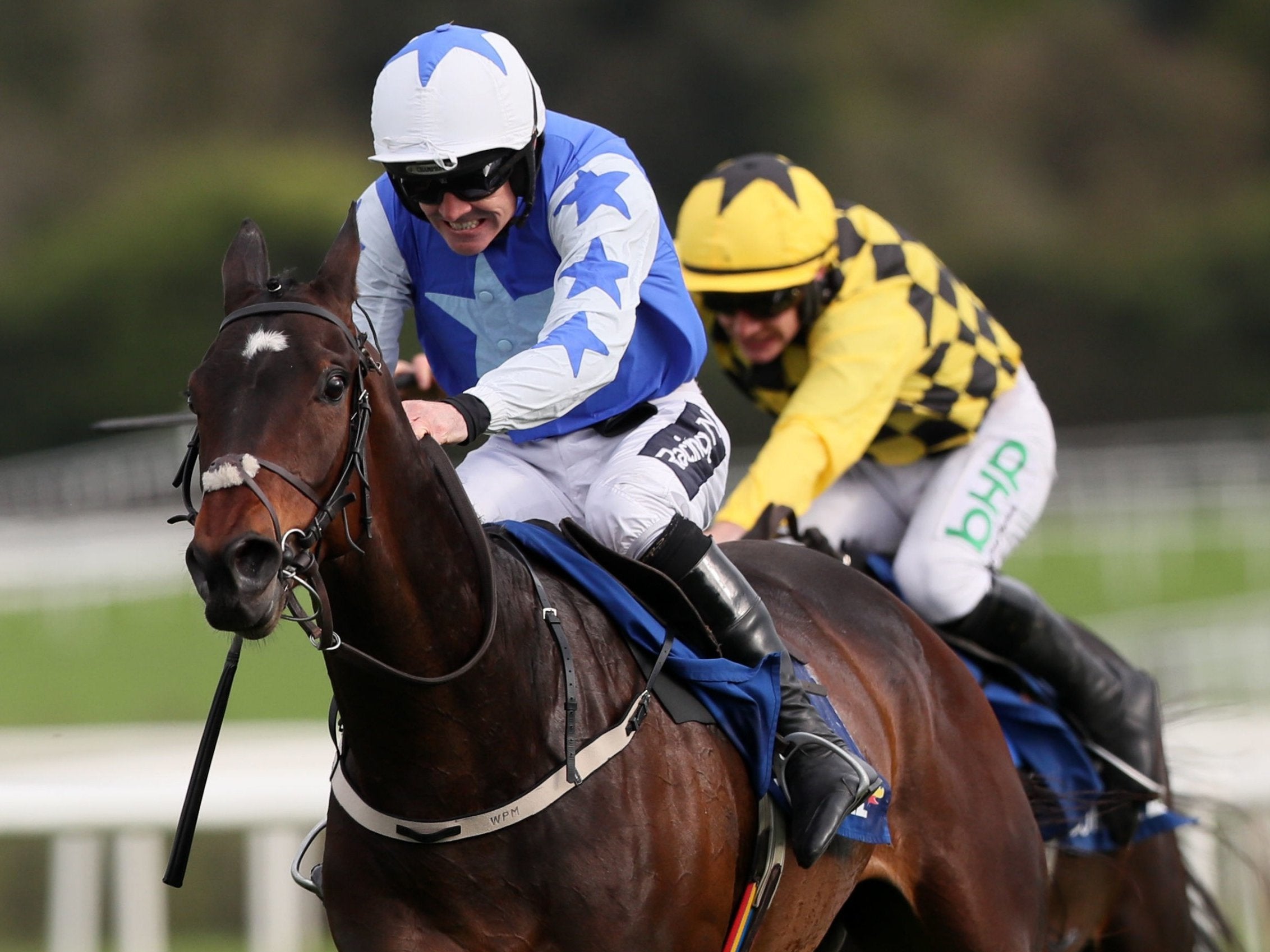 Walsh’s final winner came on Kemboy in the Punchestown Gold Cup