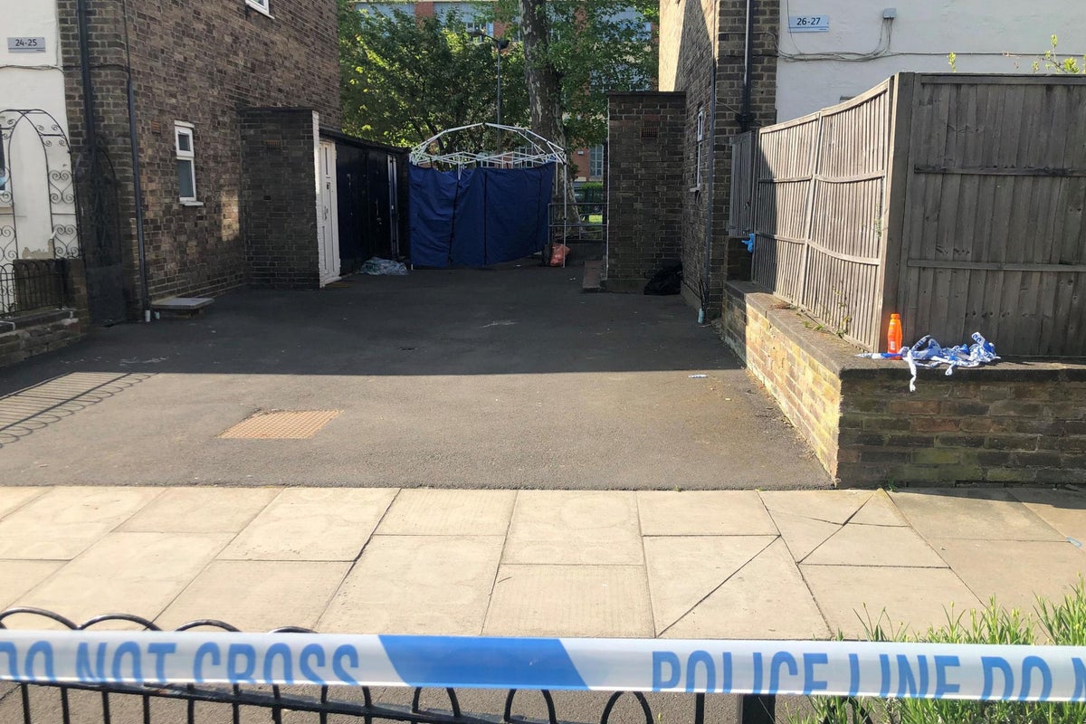 Hackney stabbing: Murder investigation as teenage killed in London ...