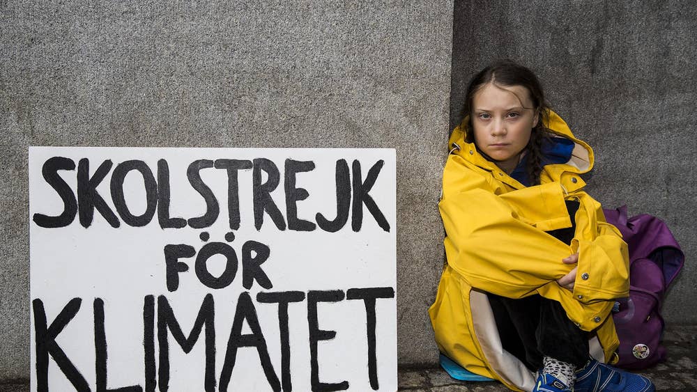 Image result for greta thunberg