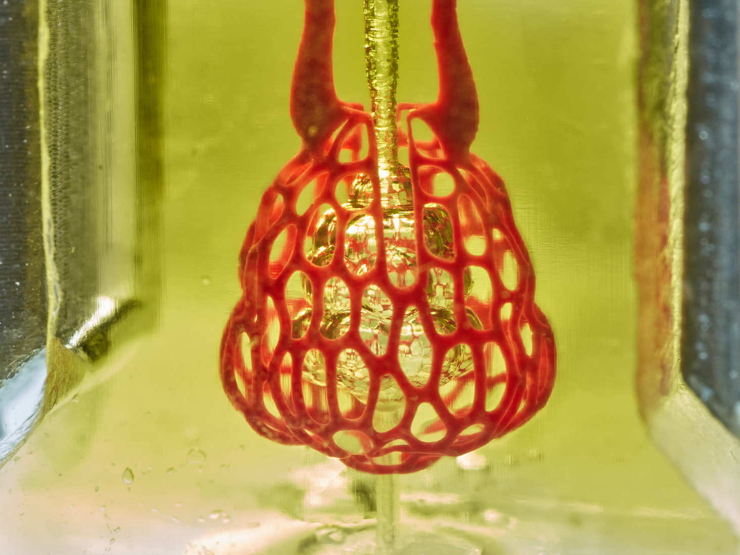 Bioprinting research from the lab of Rice University bioengineer Jordan Miller featured a stunning proof-of-principle -- a scale-model of a lung-mimicking air sac with airways and blood vessels that never touch yet still provide oxygen to red blood cells