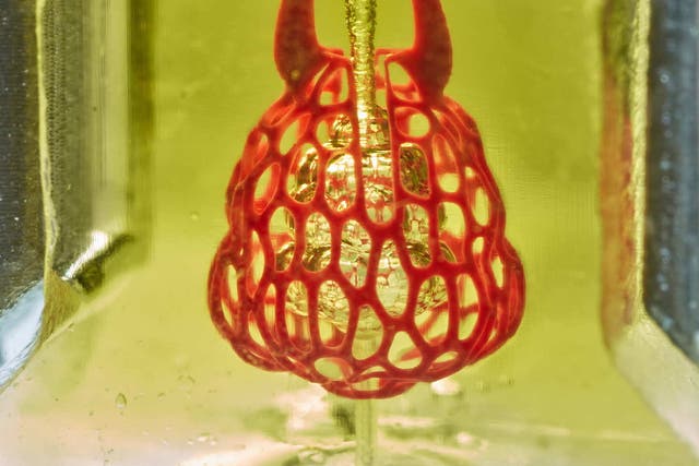 Bioprinting research from the lab of Rice University bioengineer Jordan Miller featured a stunning proof-of-principle -- a scale-model of a lung-mimicking air sac with airways and blood vessels that never touch yet still provide oxygen to red blood cells