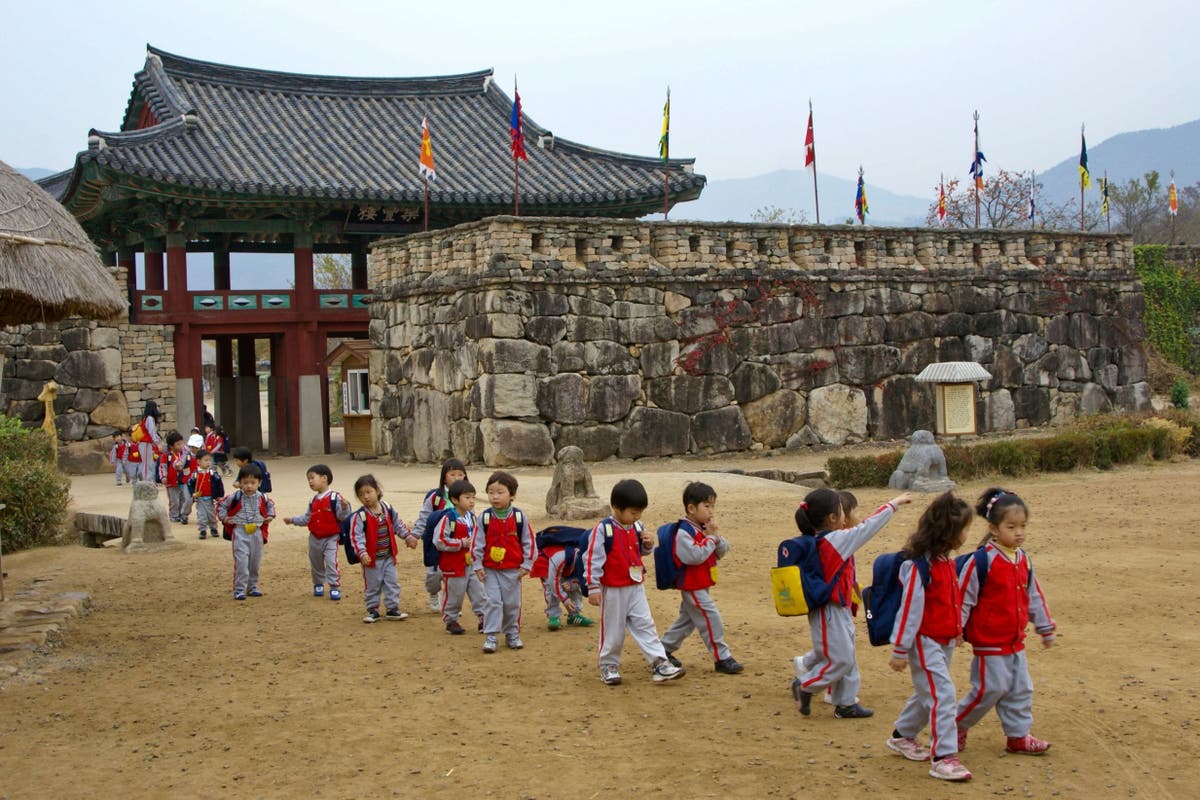 Why a rural school in South Korea is filling its classrooms with  grandmothers | The Independent | The Independent