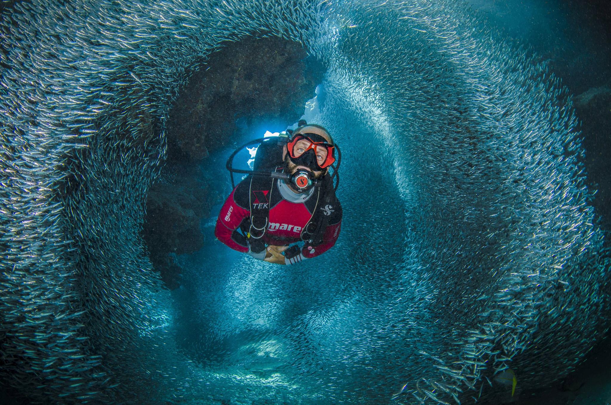 A diver swimming through silversides in the Cayman Islands