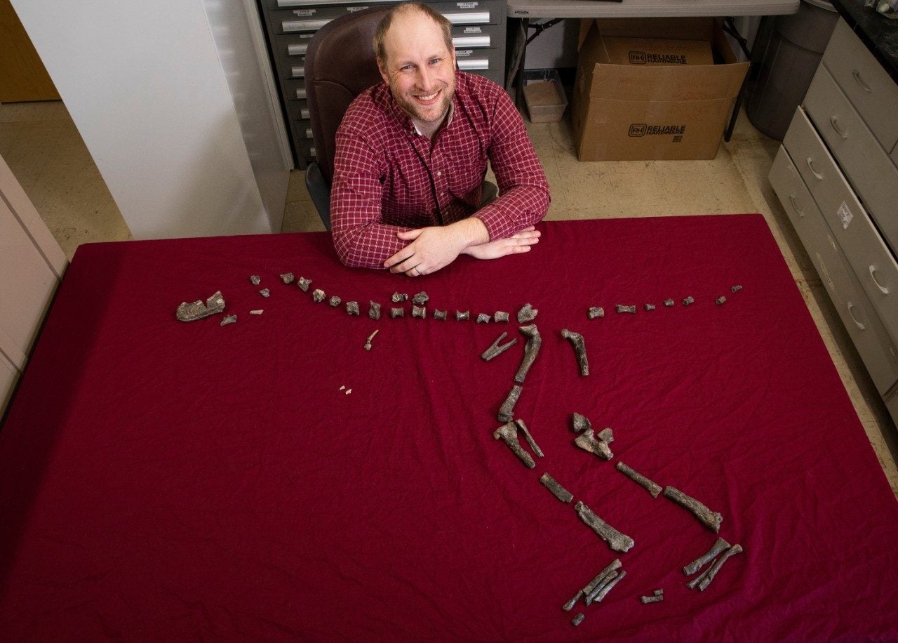 Sterling Nesbitt and fossil remains of Suskityrannus hazelae, which he found at age 16 in 1998