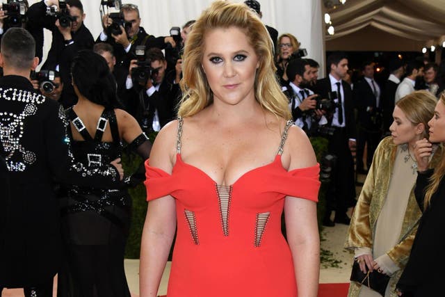 Amy Schumer took photos on the Met steps before giving birth