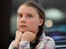 Greta Thunberg says climate change message ‘not getting through’
