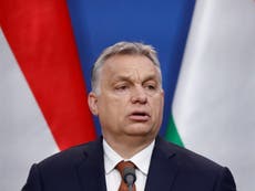 UK government to have ‘special relationship’ with Orban, says aid