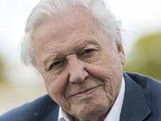 Attenborough says people ‘fed up’ with EU, but won’t give Brexit view