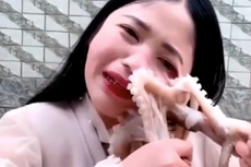 Vlogger attacked by octopus as she tries to eat it during live-stream