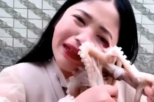 Octopus sucks on vlogger during live-stream as she tries to eat animal