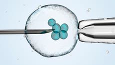More same-sex couples are using IVF to start families, figures show