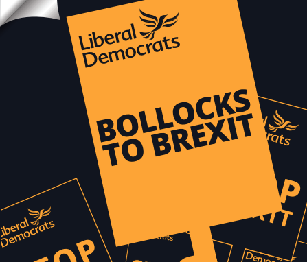 A special edition of the Lib Dem European elections manifesto