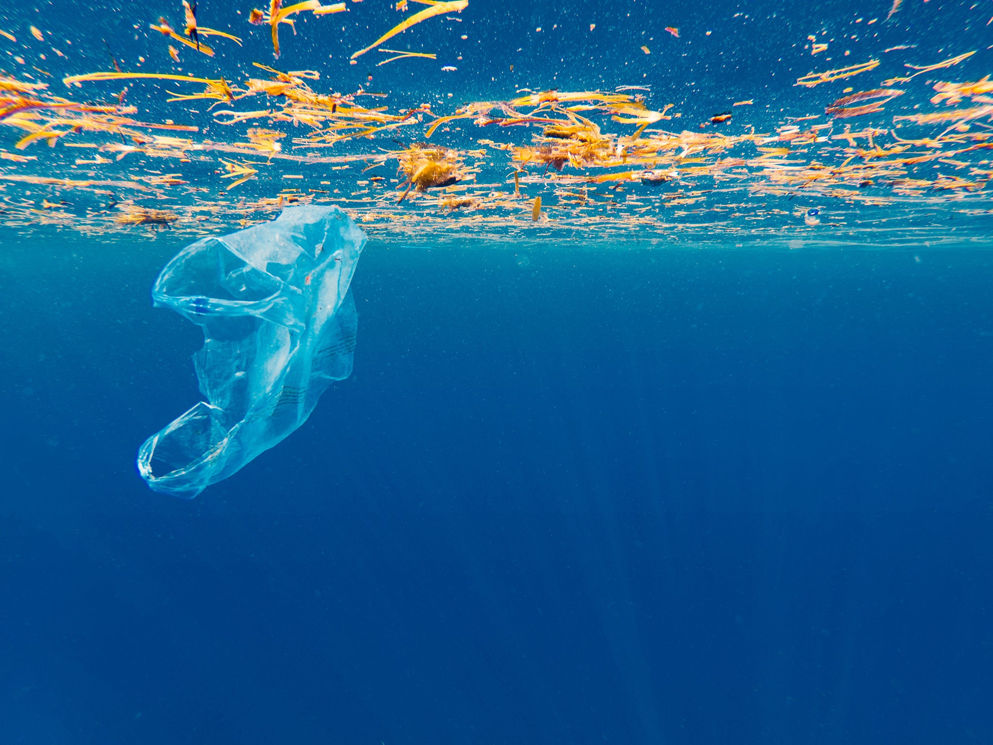 It is estimated that at least 12.7 million tonnes of plastic ends up in our oceans each year