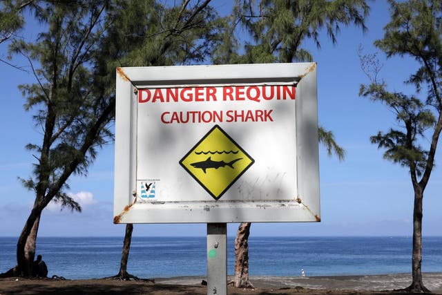 A sign on Reunion: locals have talked of a ‘shark crisis’