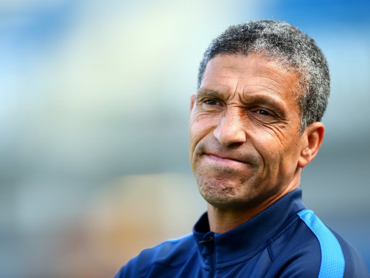 Chris Hughton sacked: Brighton sack manager despite Premier League