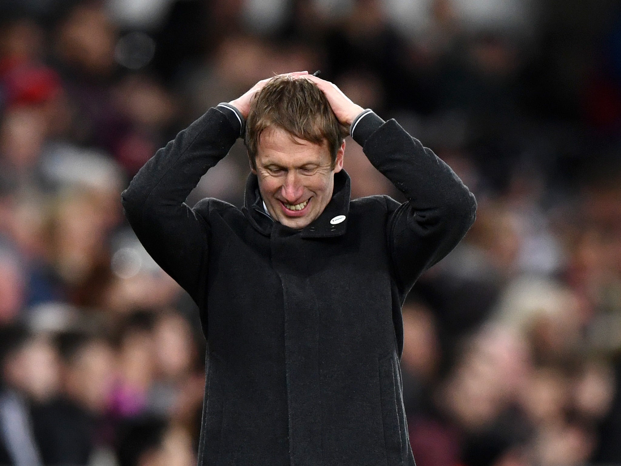 Graham Potter is the early bookmakers' favourite to replace Hughton