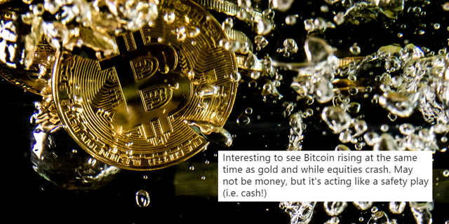 pasaulio bitcoin network saugi bitcoin prekybos programa