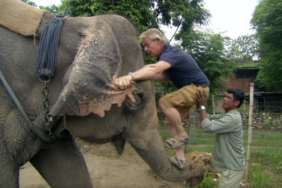 Martin Clunes dropped by animal charity Born Free after riding elephant on TV