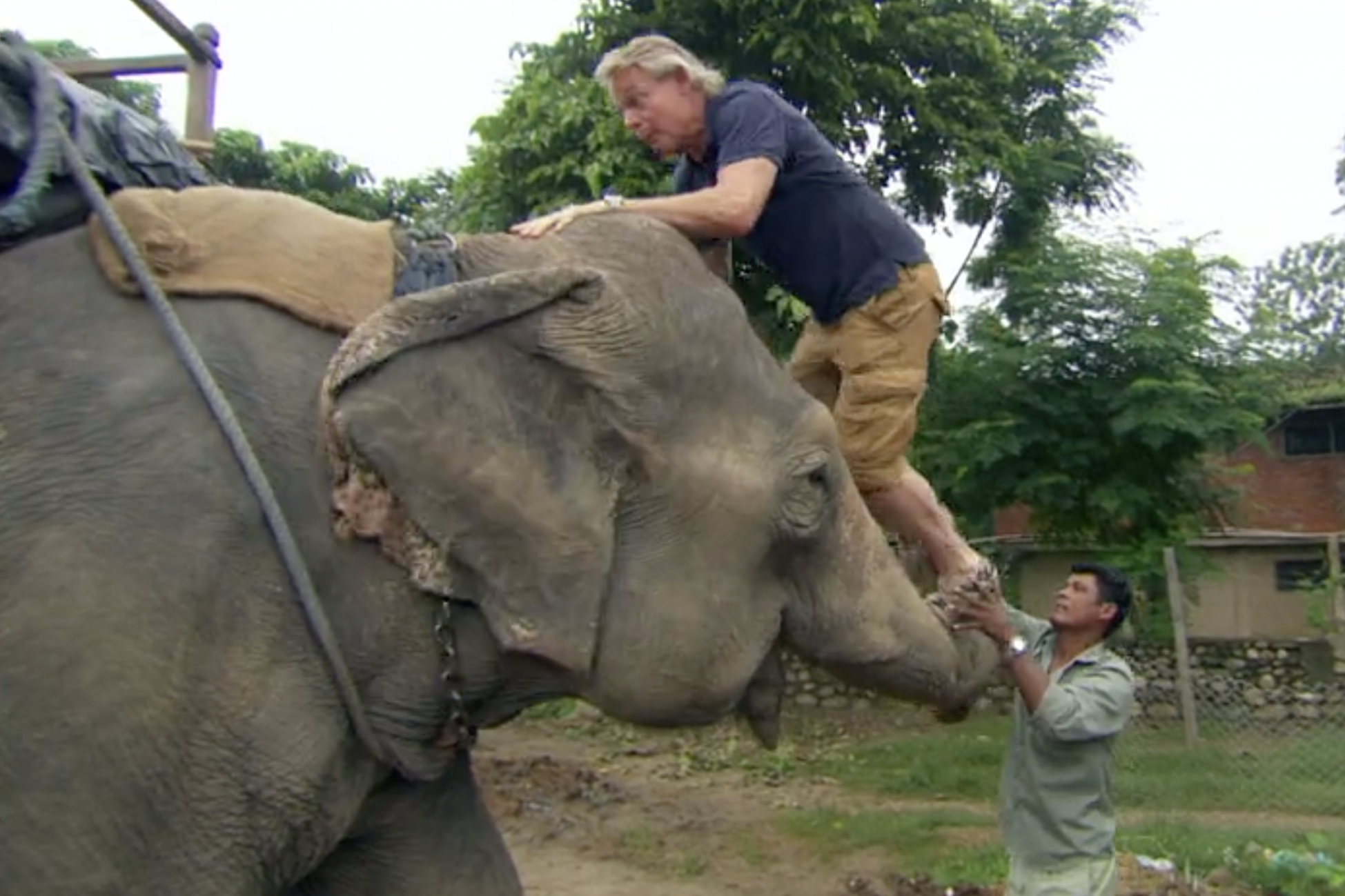 (ITV: My Travel’s and Other Animals)