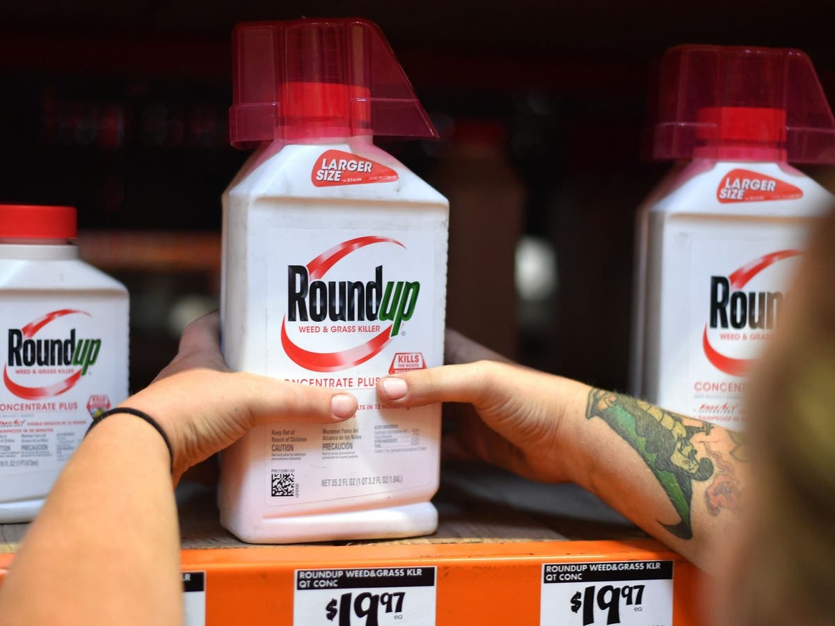 Monsanto: Do cancer payouts and global protests signal the end for this agrochemical company?