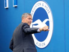 Kick It Out apologise for making Hughton claim after Brighton sacking