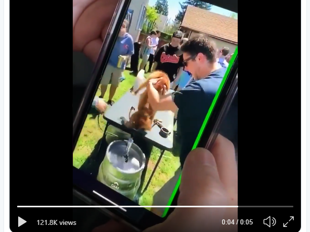 A screen shot from a snapchat post shared on Twitter of a puppy being force-fed beer. The post, which went viral on social media, was widely condemned.