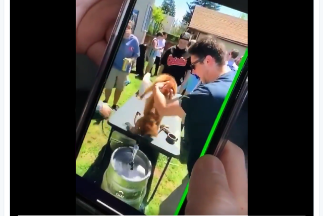 A screen shot from a snapchat post shared on Twitter of a puppy being force-fed beer. The post, which went viral on social media, was widely condemned.