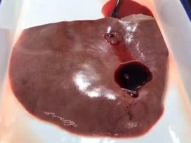 Scientists punctured a hole in four pig hearts and then applied the glue to the wound