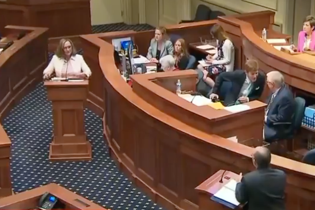 Alabama senator Vivian Davis Figures grills Republican colleague over abortion ban