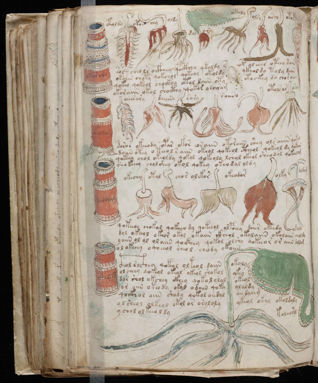 <p>Pages from the Voynich manuscript</p>