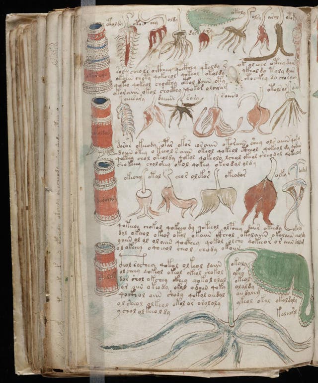 <p>Pages from the Voynich manuscript</p>