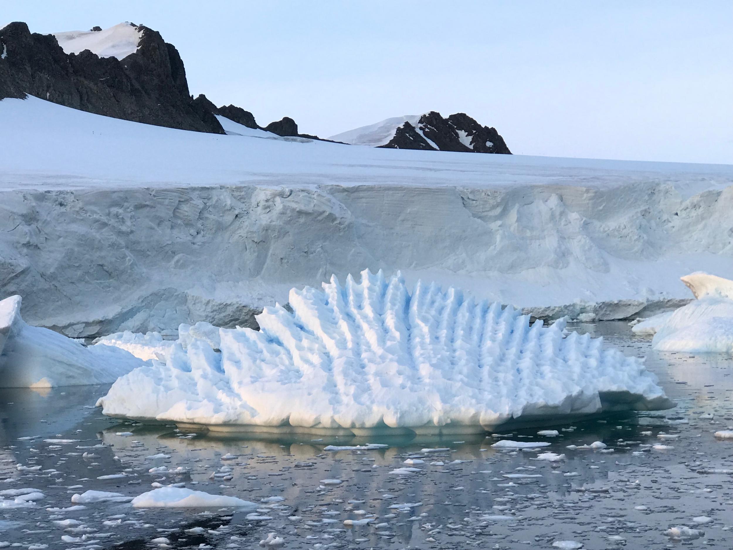 Pictured is an iceberg at Marguerite Bay in the Antarctic Peninsula