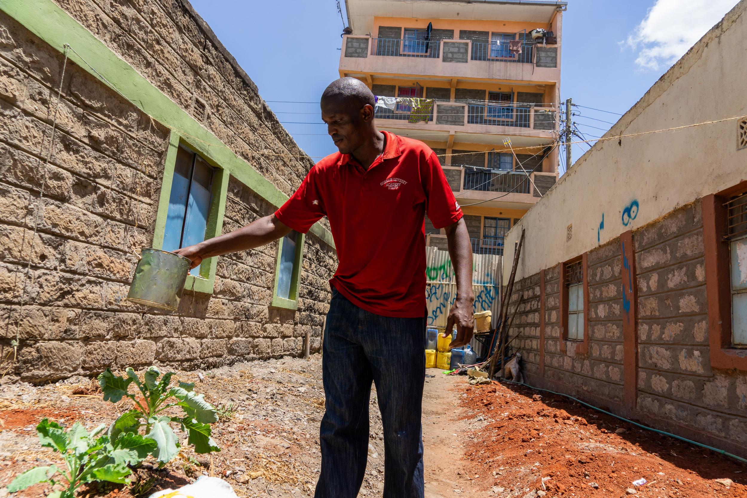 Charles Owino tends to the vegetable garden in an alleyway that used to be a hotspot for criminals and drug dealers