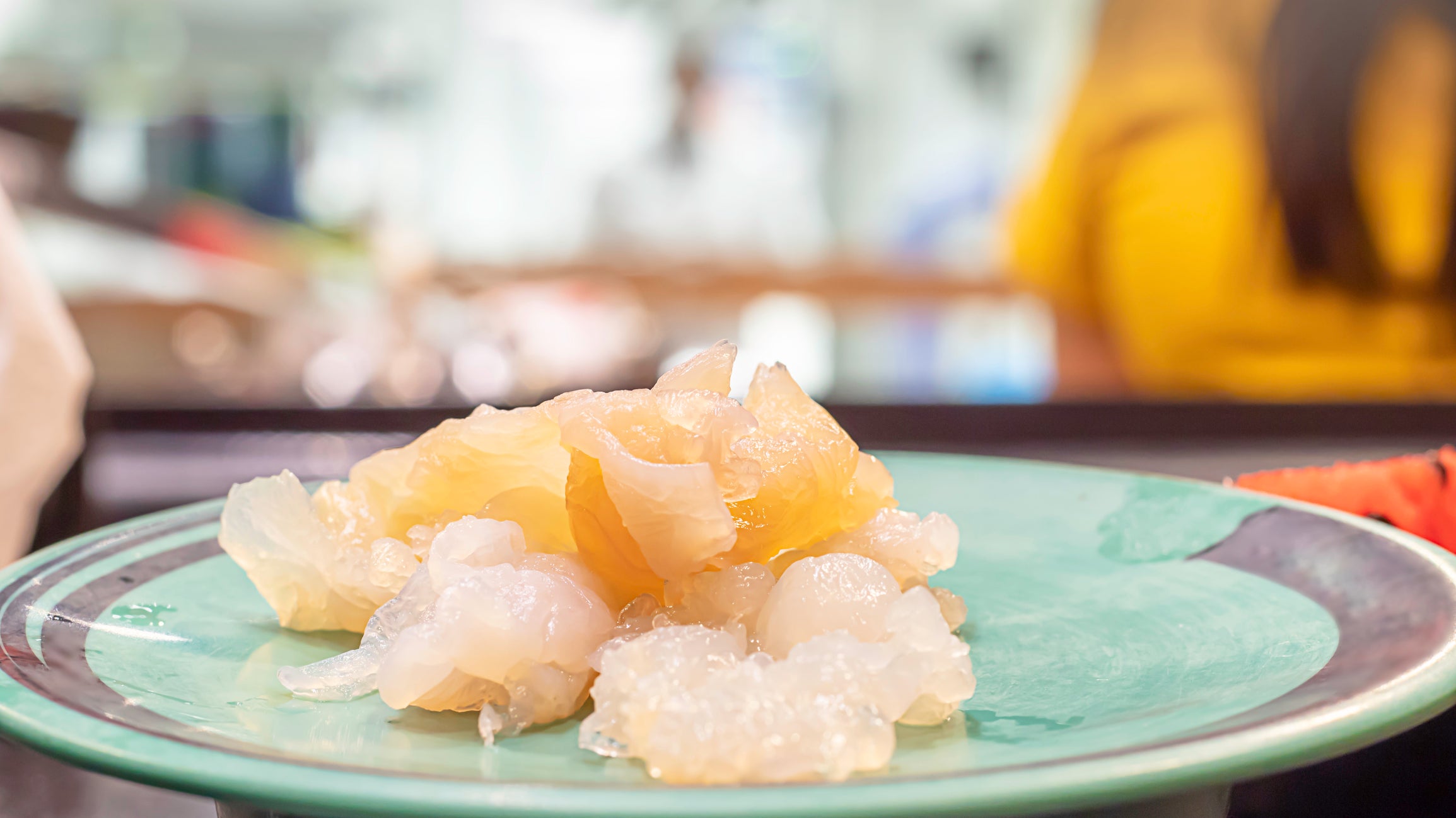 Jellyfish on a green plastic plate