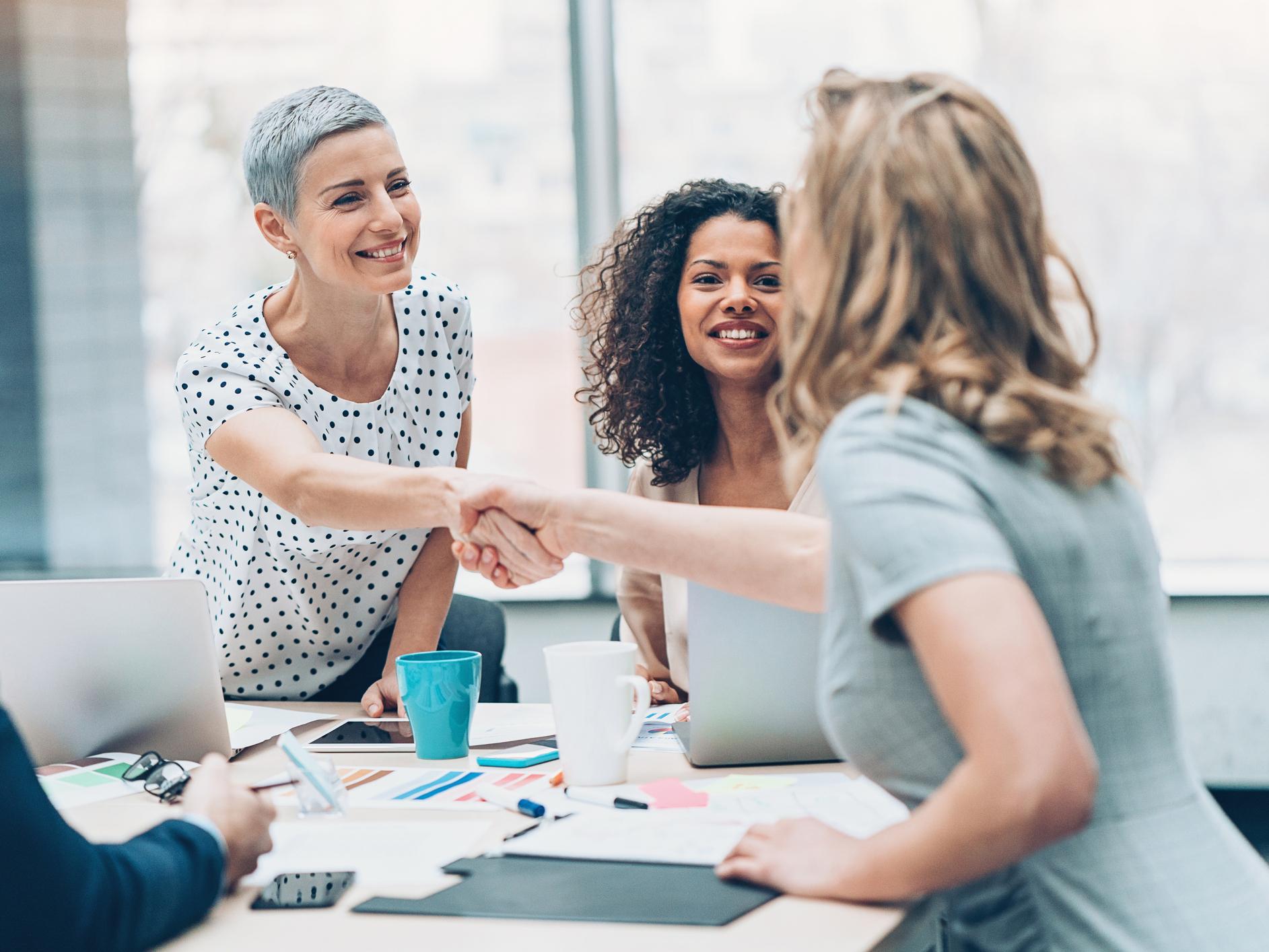 Business persons handshaking on a business meeting
