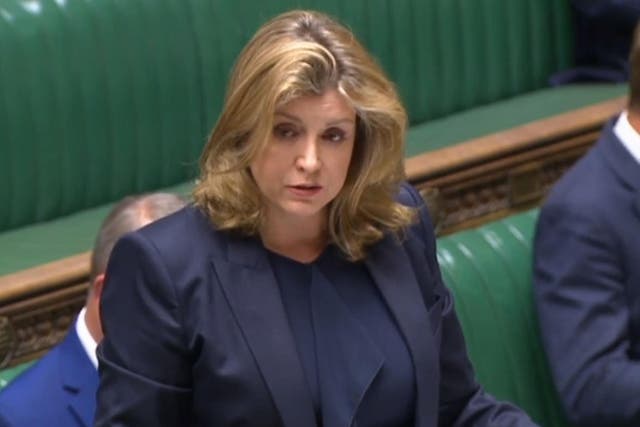 Penny Mordaunt: 'I can understand the concerns that have been expressed'