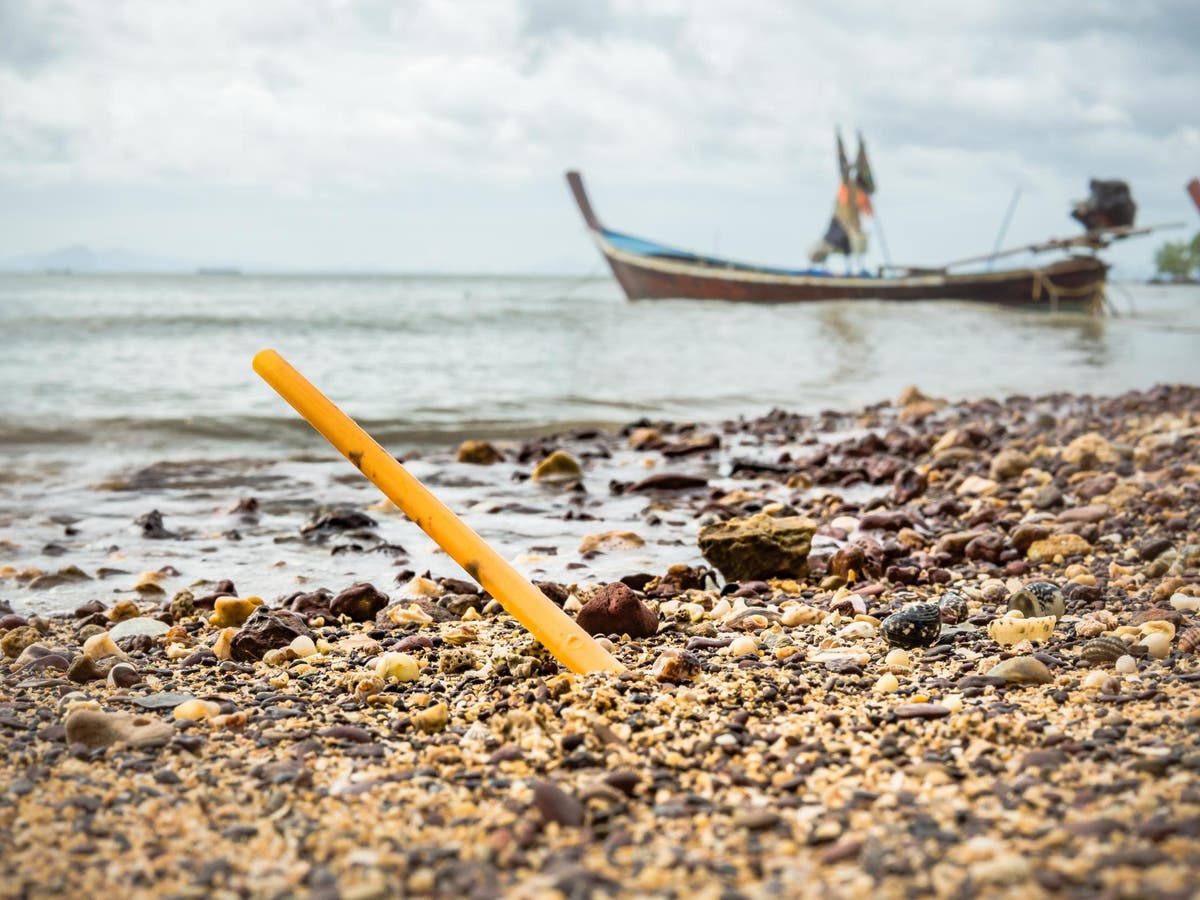 Plastic straws and cotton buds to be banned next year in effort to tackle plastic pollution