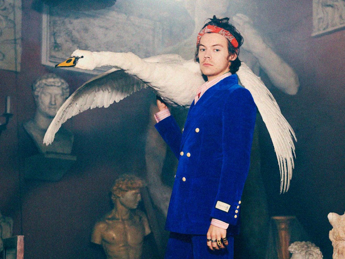 Harry Styles for Gucci Tailoring