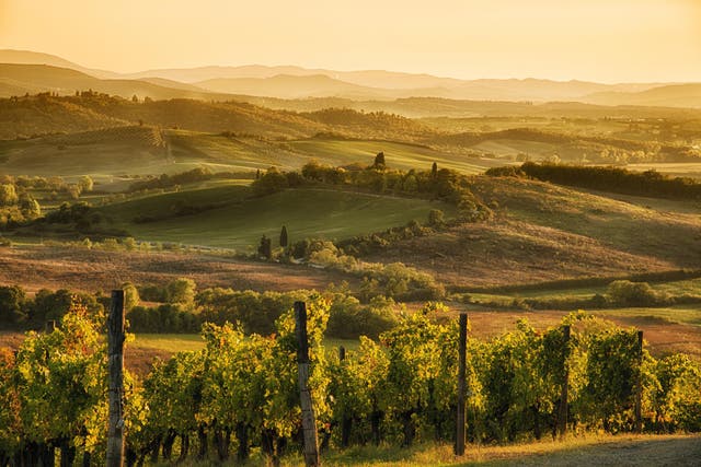 Sunset over Chianti in Tuscany