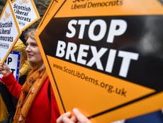 Political reality has made the Lib Dems the Remain party