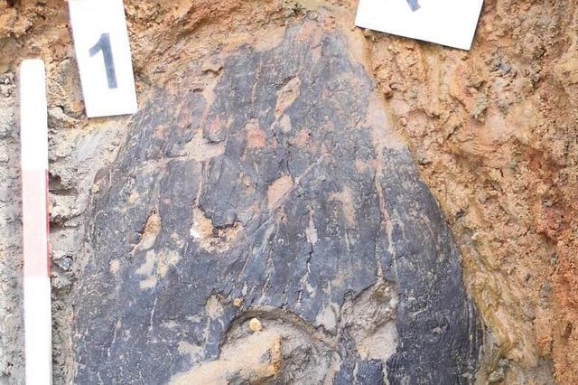 Dozens of metal shields have been found across Europe but this one, made from green bark, is believed to be the first of its kind