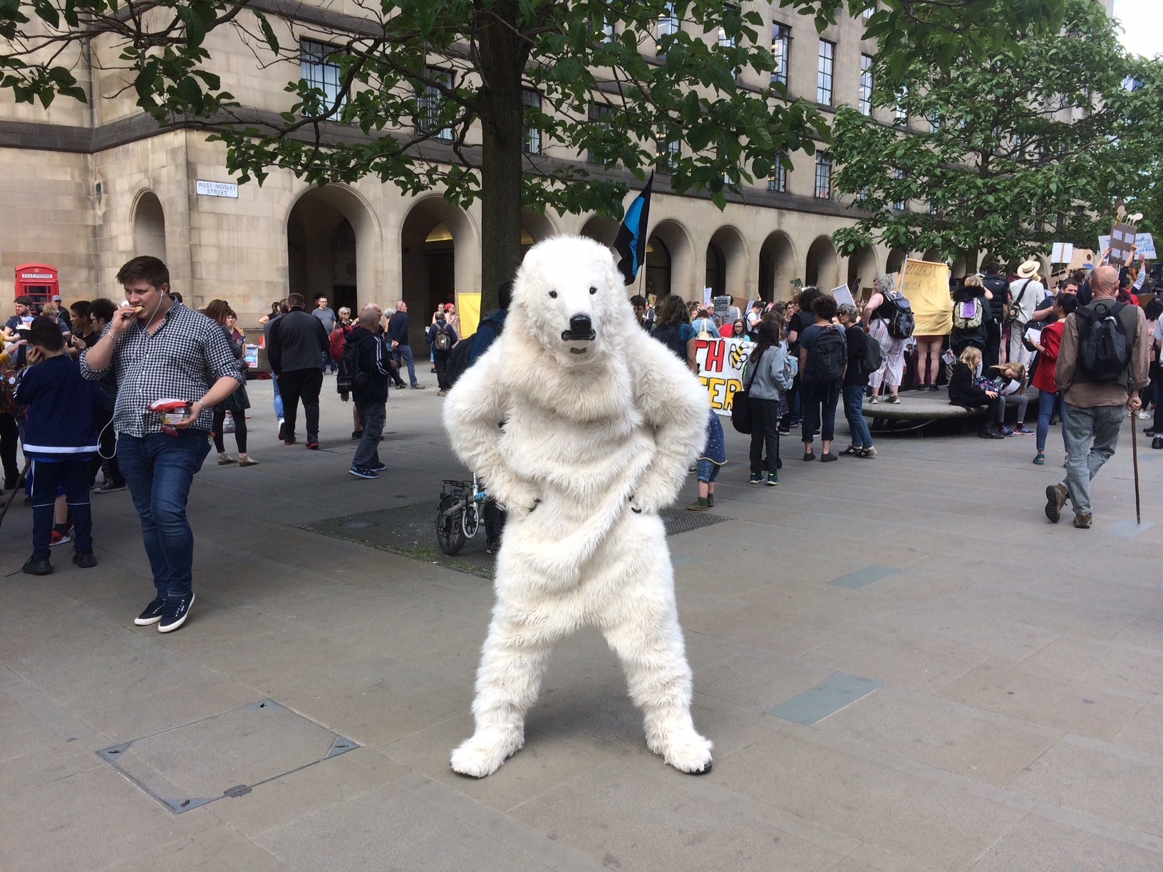 It was probably quite warm in the polar bear outfit